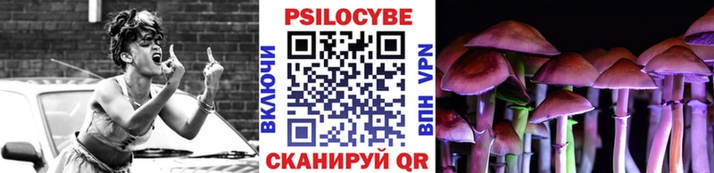где продают наркотики  Оханск  Галлюциногенные грибы Cubensis 